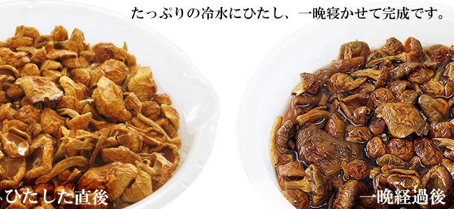 乾燥なめこ40g 北海道産ナメコ 美味しいきのこ 料理素材 旨味凝縮 安全キノコ 乾なめこ ドライ野菜 干し滑子