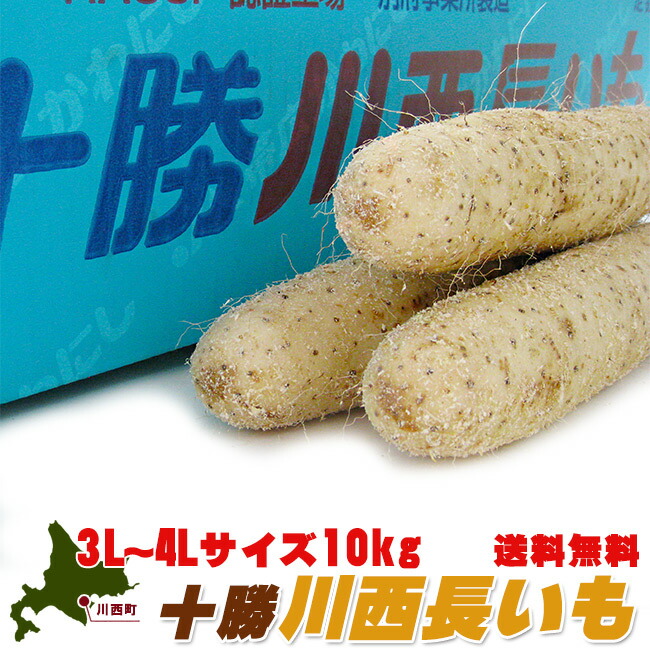 十勝川西長いも10kg【3Lサイズ～4Lサイズの長芋】真っ白できめ細かい肉質のながいも とろろ芋にすると粘りがあります【北海道特産品の長イモ】消化に良い山うなぎ【送料無料】