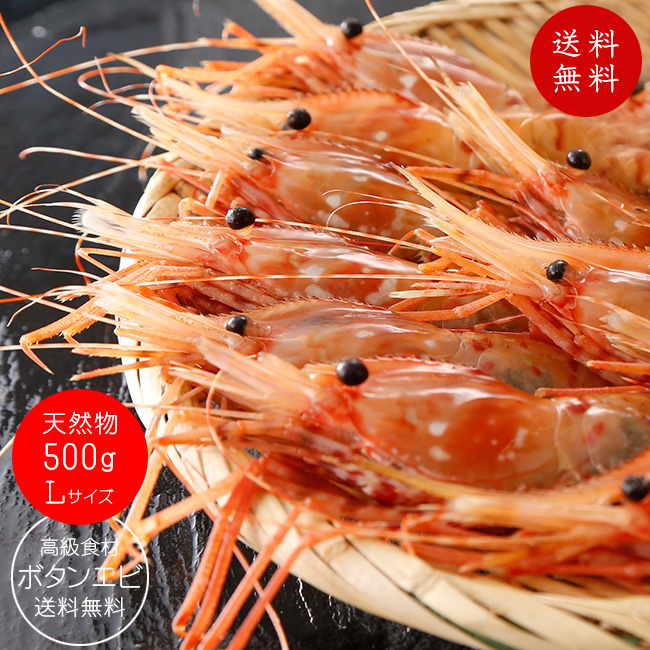 楽天市場 天然ボタンエビ500g Lサイズ ぼたんえび 刺身で食べれる牡丹海老 高級食材のボタン海老です 濃厚な甘さとプリップリッの食感を堪能してください 牡丹エビ 送料無料 麺本舗吉粋 楽天支店