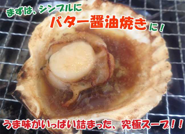 楽天市場 北海道名産 ほたて片貝 10枚 加熱用ホタテ貝 北海道産 帆立使用 送料無料 麺本舗吉粋 楽天支店 楽天市場 北海道名産 ほたて片貝 10枚 加熱用ホタテ貝 北海道産 帆立使用 送料無料 麺本舗吉粋 楽天支店