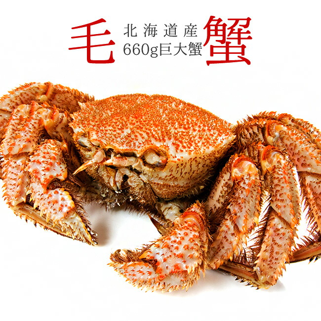 楽天市場】ボイル毛がに500g【北海道産特大毛蟹】このケガニ安い