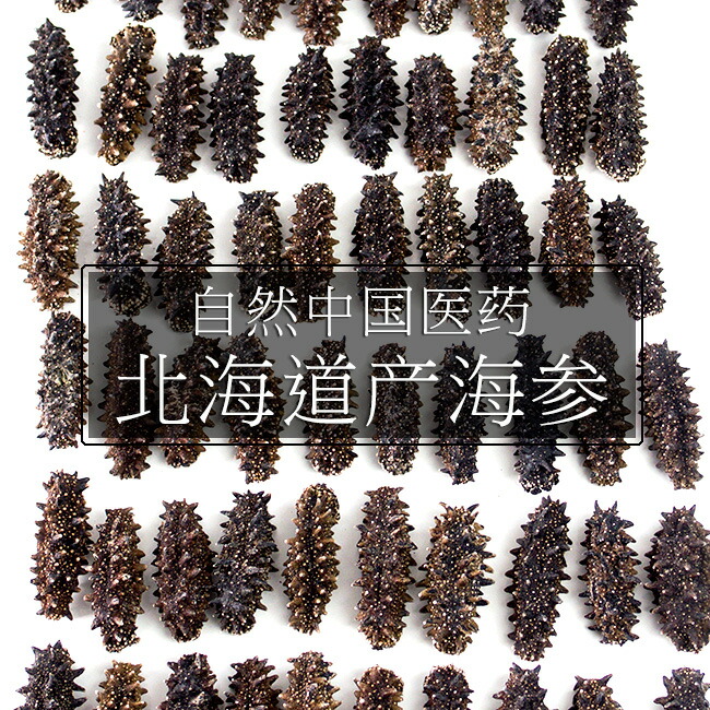 北海道産乾燥なまこ 特aランク 乾麺 1本4g前後 ギフト 干しナマコ 金ん子 送料無料 中華高級食材 乾燥ナマコ特a級品sサイズ100g 北海道 海参 海参皇 干しなまこ 干し海鼠 北海キンコ 海の漢方 麺本舗吉粋 楽天支店