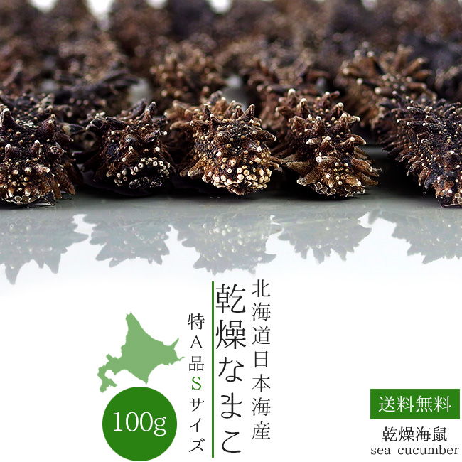 乾燥ナマコ特a級品sサイズ100g 海参 海参皇 1本4g前後 特aランク 北海道産乾燥なまこ 金ん子 中華高級食材 干し海鼠 その他水産物 北海キンコ 海参 海参皇 干しなまこ 干しナマコ 海の漢方 送料無料 麺本舗吉粋 楽天支店