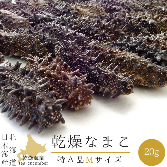 楽天市場】乾燥ナマコ特A級品Sサイズ500g【化粧箱入り】 1本4g