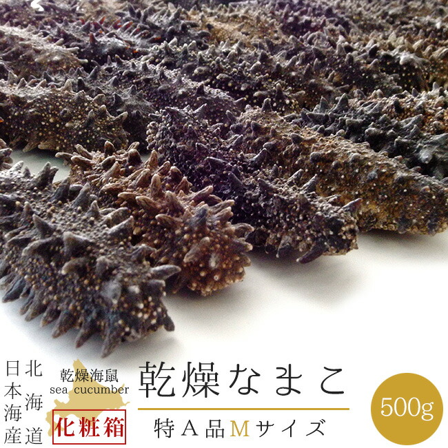 ds01683_rakun.jpg