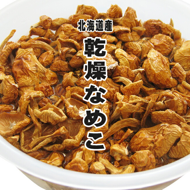 乾燥なめこ40g 北海道産ナメコ 美味しいきのこ 料理素材 旨味凝縮 安全キノコ 乾なめこ ドライ野菜 干し滑子