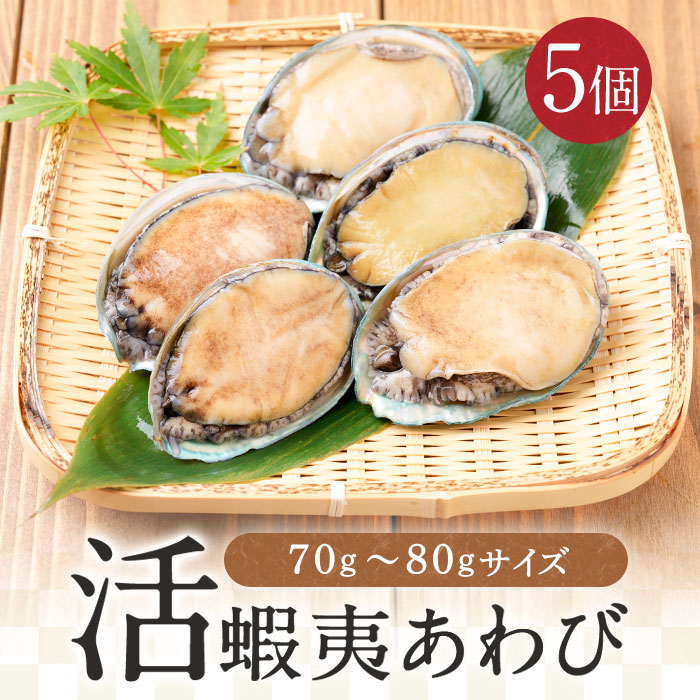 祝日 送料無料 70g-80gサイズ 活きアワビ 活 訳あり あわび アワビ バーベキュー用 冷凍 活あわび 蝦夷あわび 高級食材 鮑 蝦夷アワビ  食材 活アワビ 蝦夷 5個入り 活きあわび 五つ星高級旅館御用達 魚介類・水産加工品