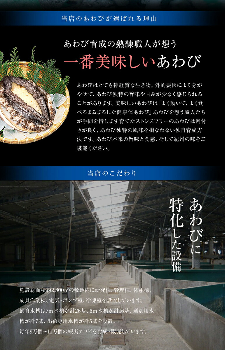 【早割4193円終了後5990円】活蝦夷あわび50g-60gサイズ5個入りお歳暮高級食材五つ星高級旅館御用達送料無料アワビ鮑