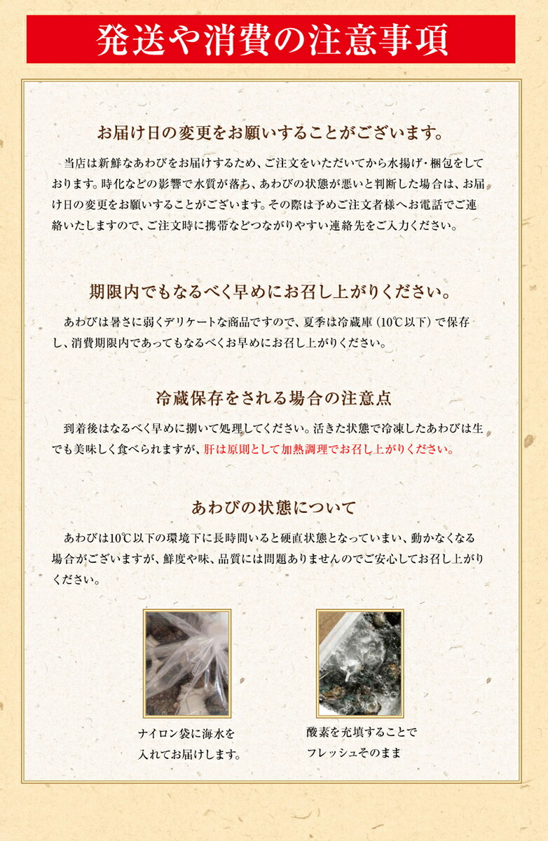 【早割4193円終了後5990円】活蝦夷あわび50g-60gサイズ5個入りお歳暮高級食材五つ星高級旅館御用達送料無料アワビ鮑