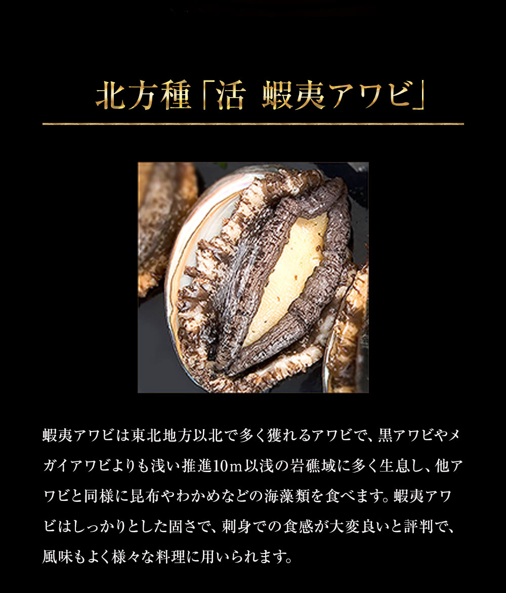 【早割3992円終了後4990円】【訳あり】和歌山県産アワビむき身300g真空パック蝦夷あわび蝦夷アワビお歳暮高級食材五つ星高級旅館御用達送料無料アワビ鮑煮貝蒸しアワビ煮あわび