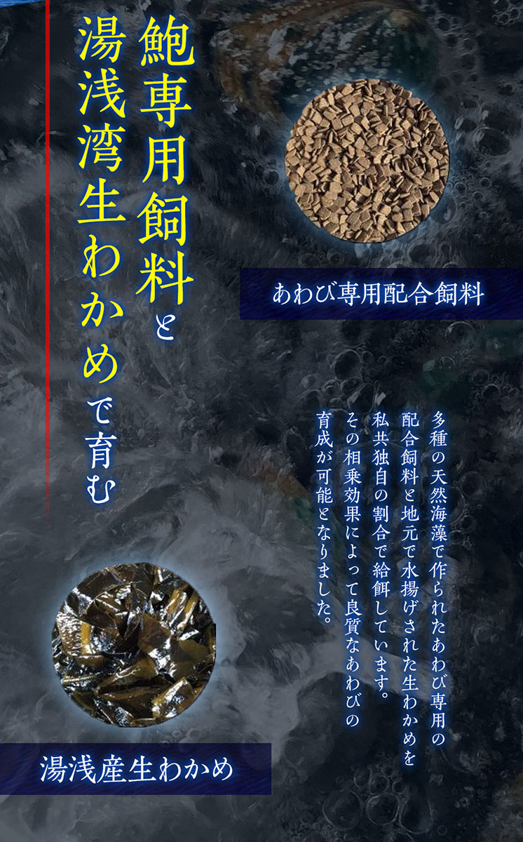 最大89％オフ！ 和歌山県産アワビ むき身 600g×2 真空パック 蝦夷 