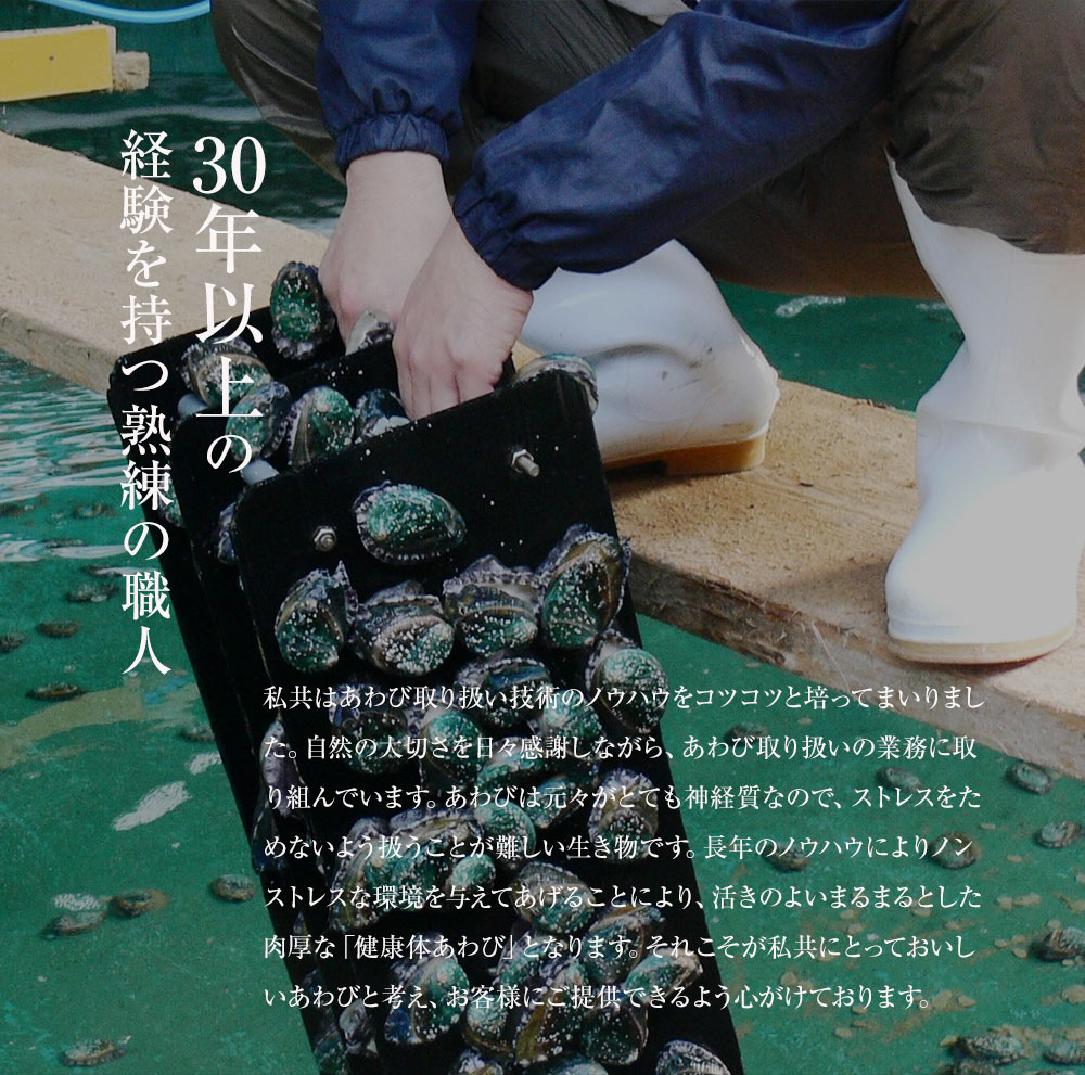 【早割3992円終了後4990円】【訳あり】和歌山県産アワビむき身300g真空パック蝦夷あわび蝦夷アワビお歳暮高級食材五つ星高級旅館御用達送料無料アワビ鮑煮貝蒸しアワビ煮あわび