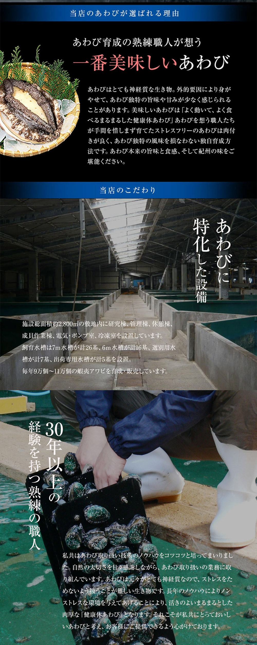 期間限定の激安セール 和歌山県産アワビ むき身 300g 約10粒-15粒入 ×2袋 真空パック 蝦夷あわび 蝦夷アワビ 高級食材  五つ星高級旅館御用達 送料無料 アワビ 鮑 煮貝 蒸しアワビ 煮あわび 高級グルメ 食べ物 bbq バーベキュー 食品 お取り寄せ fucoa.cl