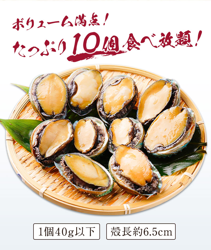 市場 期間限定 希少種 蝦夷あわび 殻長約6.5cm 10個入 紀和味 40g以下ミニサイズ クーポン利用で6,000円→2,999円 訳あり