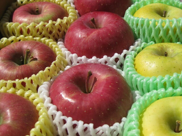 楽天市場】2025年産 園主お勧め2〜3品種詰め合わせ「信州産 旬の