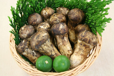 松茸　[産地]中国産　[形]つぼみ　[サイズ]M　[等級]A　[内容量]500g｜近江町北形青果