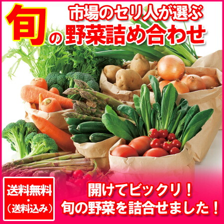 楽天市場 北海道 野菜セット 送料無料 野菜 詰め合わせ セット 価格 5000 円 ポッキリ 送料無料 旬の野菜セットを贈答品で北海道から野菜を 北海道 ポイント きた蔵の畑