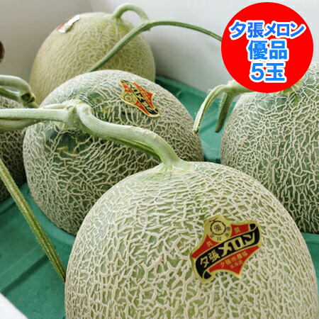 随時発送中 夕張メロン 送料無料 夕張メロン 8kg 優品 5玉入 1箱(1ケース) 北海道 夕張 メロン 優 夕張メロン 夕張農協共撰 メロン ゆうばりめろん 果物 フルーツ くだもの メロン｜北海道 ポイント・きた蔵の畑