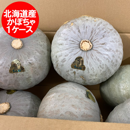 楽天市場 野菜 かぼちゃ 送料無料 北海道産 カボチャ 1箱 4玉から6玉入り 価格 3980円 南瓜は雪化粧 ゆきげしょう 北海道 ポイント きた蔵の畑