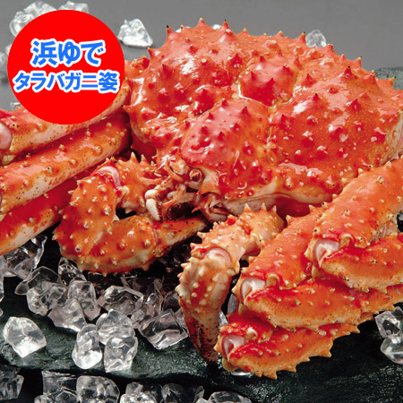たらばがに 送料無料 たらばがに 姿 タラバガニ ボイル 茹でタラバガニ 姿 1尾 3kg(3キロ) 価格32400円 北海道産 たらば蟹姿