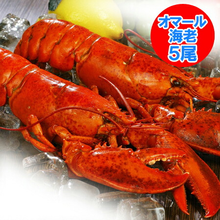 ロブスター 送料無料 ボイル ロブスター 5尾 ( 1尾 400g～450g×5 ) 海老 / えび / エビ
