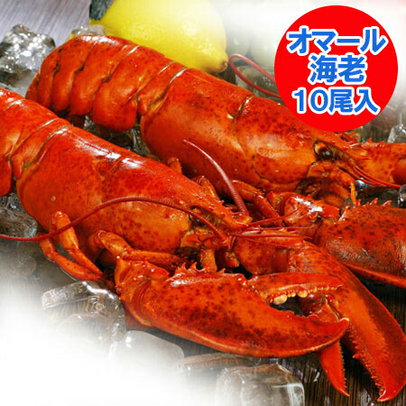 オマール海老 送料無料 オマールエビ ボイル 10尾(1尾 400g～450g&times;10) 1箱(1ケース) オマール海老 冷凍 ロブスター 魚介類 水産加工品 エビ オマール ロブスター｜北海道 ポイント・きた蔵の畑