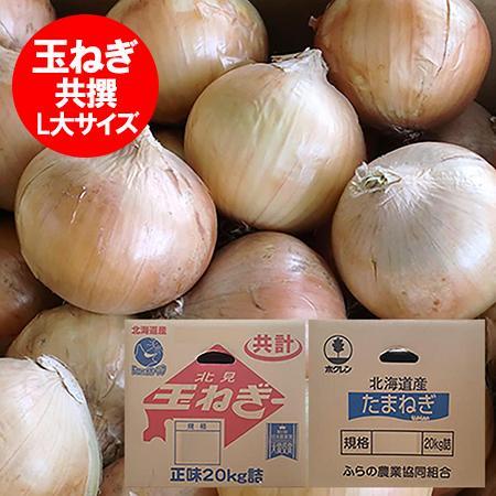 【楽天市場】北海道 たまねぎ 20kg 送料無料 北海道産 玉ねぎ 20kg