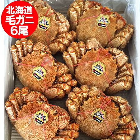 北海道産 毛ガニ 送料無料 北海道 浜ゆで 毛がに / 毛蟹 / 毛ガニ ボイル 北海道産 毛蟹 6尾入 1ケース 4kg まとめ買い 毛ガニ 魚介類 水産加工品 カニ 毛ガニ タグ付き｜北海道 ポイント・きた蔵の畑