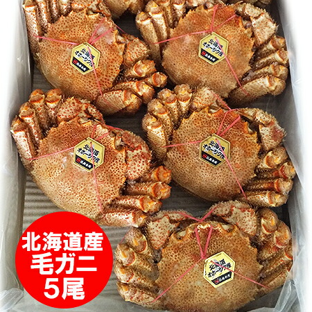 毛ガニ 送料無料 毛がに 北海道 浜ゆで 毛ガニ ボイル 北海道産 毛蟹 5尾入 1ケース 計4kg 魚介類 水産加工品 カニ / かに / 蟹 毛ガニ タグ付き|北海道 ポイント・きた蔵の畑
