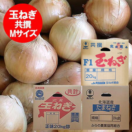 楽天市場】随時発送中 北海道 たまねぎ 20kg 送料無料 玉ねぎ 20kg L