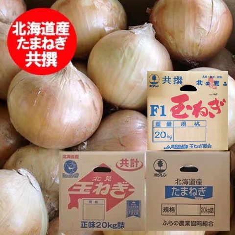玉ねぎ onion-l-20.jpg