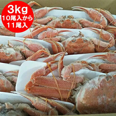 北海道産 オオズワイガニ ボイル かに 姿 オオ　ズワイガニ 姿 10尾入から11尾入り ズワイガニ姿 合計3kg前後 カニ 蟹 かに 北海道 魚介類 水産加工品 カニ ずわい