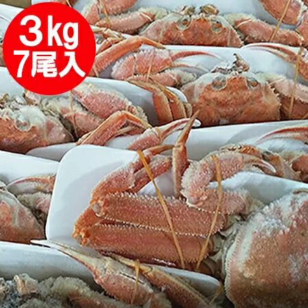 楽天市場】北海道産 オオズワイガニ ボイル かに 姿 オオ ズワイガニ