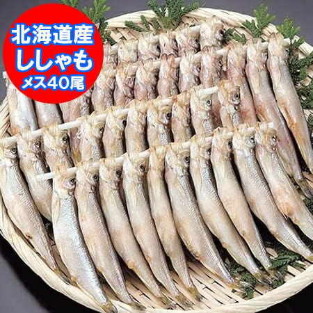 楽天市場】送料無料 ししゃも メス 干し ししゃも 10尾×3パック 笹谷