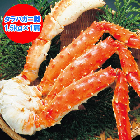 随時発送中　タラバガニ 特大 タラバガニ脚 送料無料 ボイル タラバガニ 浜ゆで たらばがに脚 タラバガニ 1.5kg ×1肩 タラバガニ 脚 / たらばがに 脚 / たらば蟹 足 たらば 魚介類 水産加工品 カニ タラバガニ ギフト 贈答品