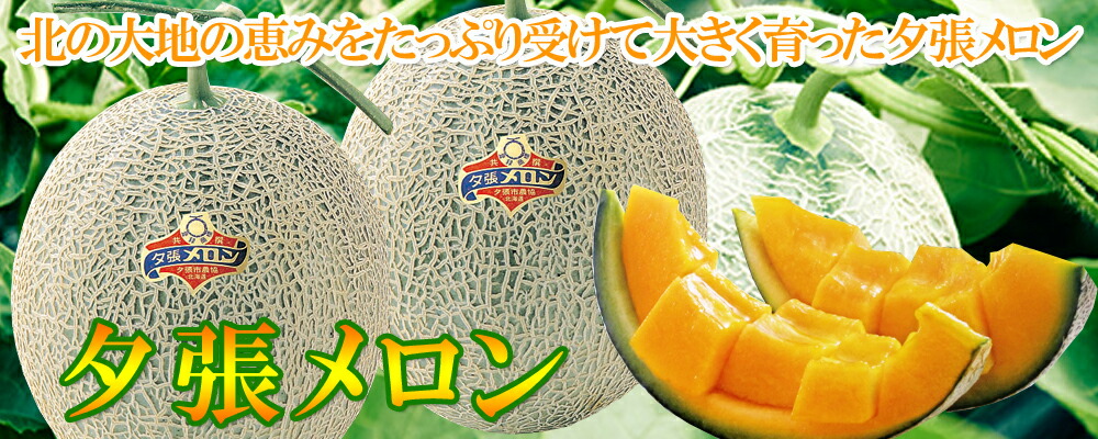 楽天市場】行者にんにく 北海道 行者にんにく 醤油漬け 瓶詰め