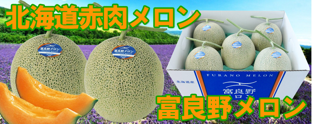楽天市場】夕張メロン 送料無料 夕張メロン 8kg 6玉入 1箱(1