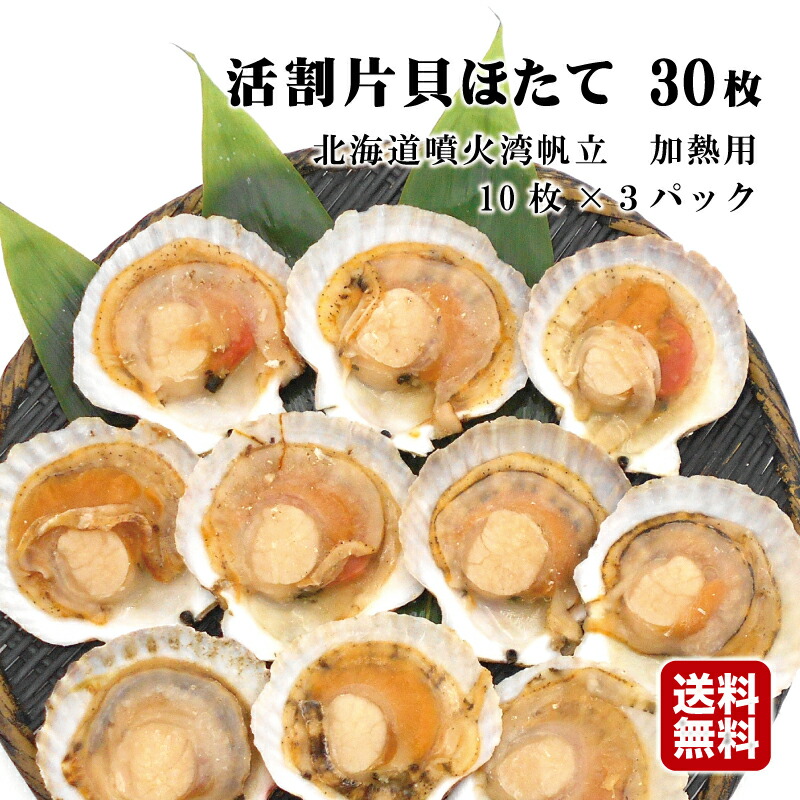 うさ　活ホタテ 活ホタテ 2年貝 3kg 北海道寿都産：北海道産の魚介類｜食べ