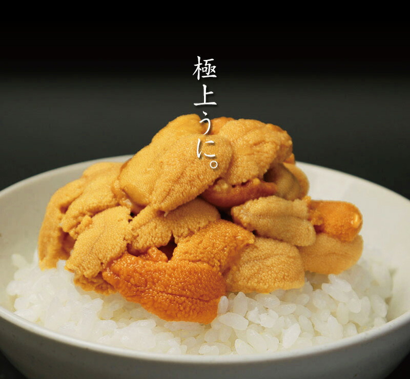 最高の 塩水うに 500g 100g 5パック ロシア沿海州産バフンウニ 無添加 生雲丹 生うに 生ウニ えんすい 冷蔵便 ミョウバン不使用 北海道 日本海 ロシア産 Flexcosa Com