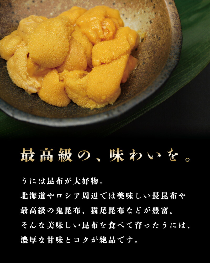 最高の 塩水うに 500g 100g 5パック ロシア沿海州産バフンウニ 無添加 生雲丹 生うに 生ウニ えんすい 冷蔵便 ミョウバン不使用 北海道 日本海 ロシア産 Flexcosa Com