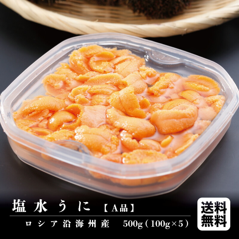 ラッピング不可】 塩水うに 500g《100g×5パック》ロシア沿海州産バフンウニ 無添加 生雲丹 生うに 生ウニ えんすい 冷蔵便 ミョウバン不使用  北海道 日本海 ロシア産 fucoa.cl