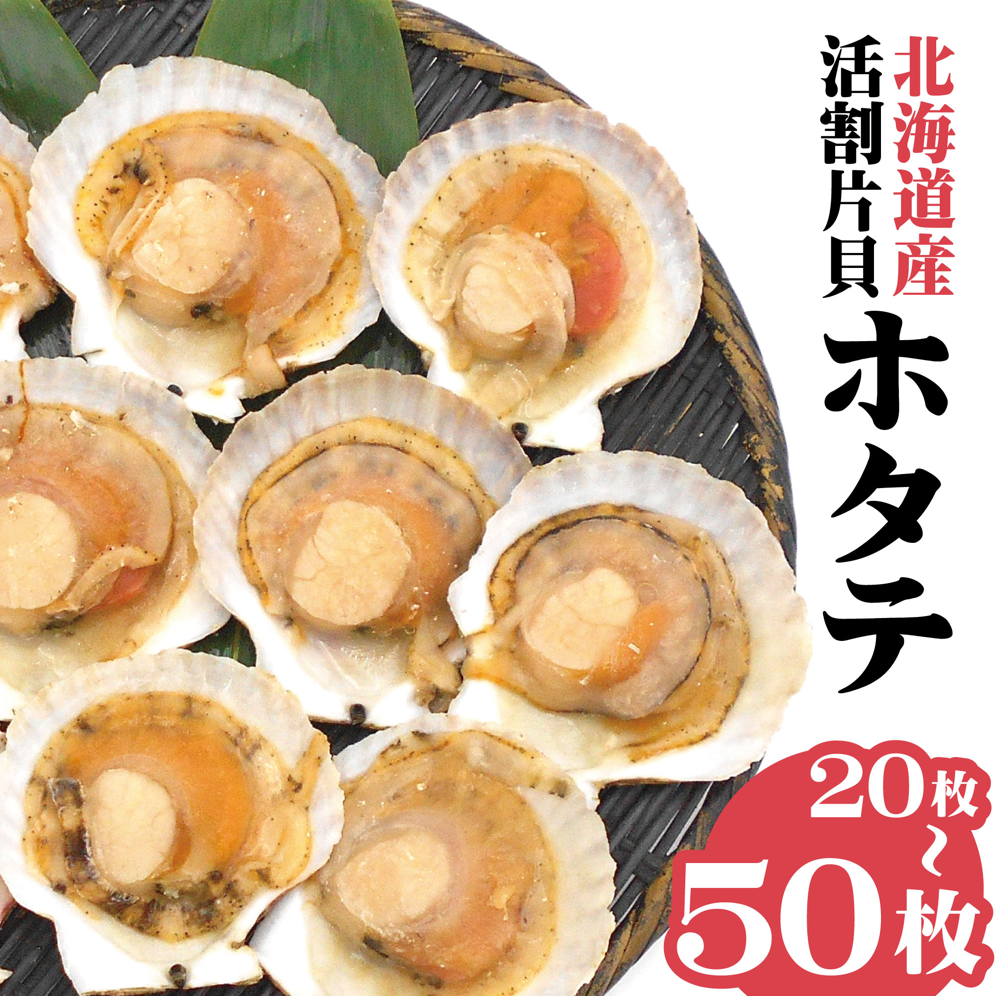 北海道噴火湾産 活割り 片貝帆立 20枚～50枚 加熱用 【訳あり品：砂が混ざっています】 北海道産 訳あり 活わり 片貝ほたて 片貝ホタテ 貝柱 BBQ バーベキュー バター焼き 炭火焼 お取り寄せグルメ ギフト