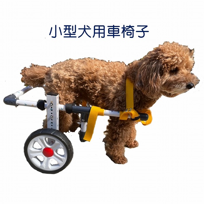 ヤマペットのコーギー・ダックス犬用車椅子：レンタル・車いす