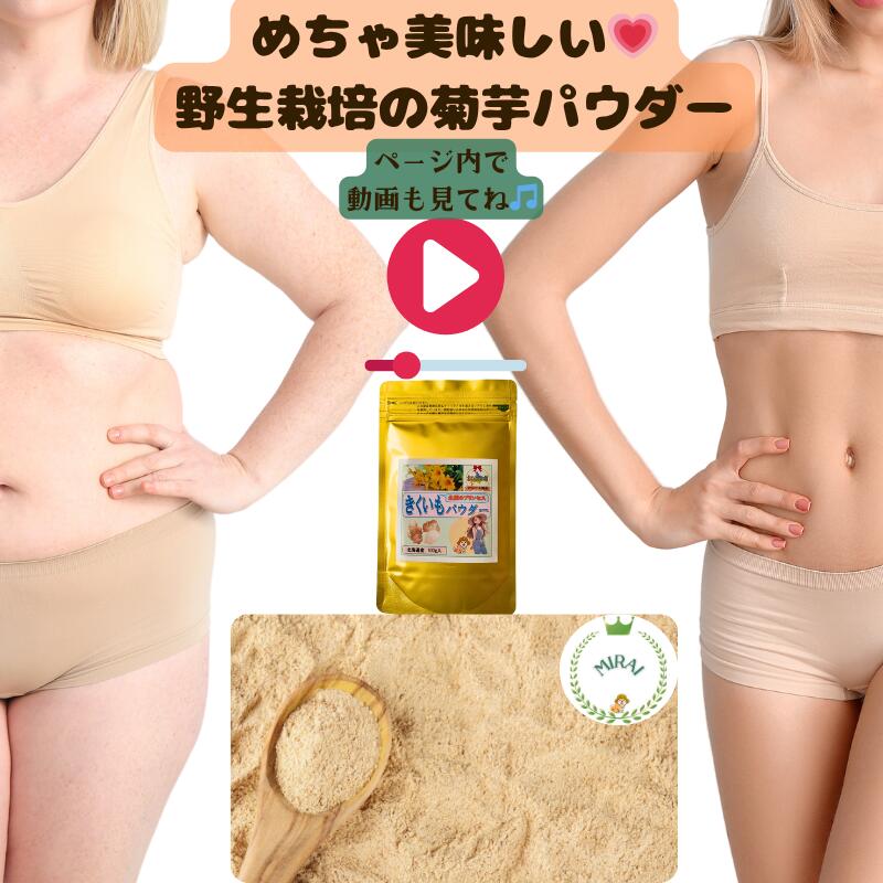 北海道産 無農薬 100g入 野生栽培 石狩産 オリジナル キクイモ 生 菊芋生 1kg使い パウダー化 鉄分 パウダー 菊芋 無農薬 菊芋パウダー 菊芋スープ 鉄分 スープ きくいも イヌリン 菊芋 パウダー 菊芋茶 国産 菊芋粉 紫菊芋パウダー 山芋パウダー とは違います