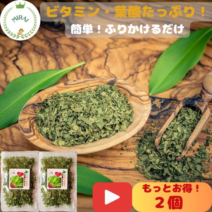 道南産天然アイヌネギ2kg 道南産天然アイヌネギ2kg 20日発送！行者ニンニク アイヌネギ 2kg 道南産