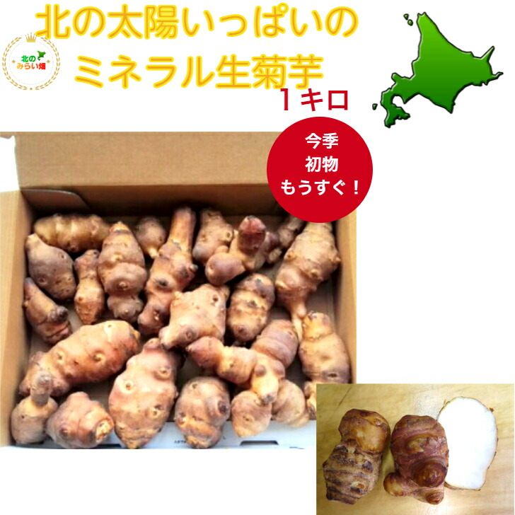 楽天市場 秋の初物発売 旬 北の国から 手堀り ミネラル豊富 サラダに生でシャリシャリ 煮てホクホク 初夏瑞々しい 専用ジップ発送 1kg 無農薬 きくいも キクイモ おつまみ スーパーフード 旬 おかず 前菜 健康 美容 ダイエット イヌリン 札幌ラーメン スープ 生菊芋 北