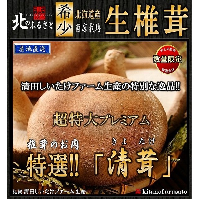 生椎茸 超特大 プレミアム 清茸 3Lサイズ 2玉 (1パック) 産地直送 名水 高級 生しいたけ 箱 椎茸 シイタケ しいたけ 肉厚 ビック お肉 生シイタケ 3l きのこ キノコ 直送 贈り物 プレゼント 特大 父の日 お中元