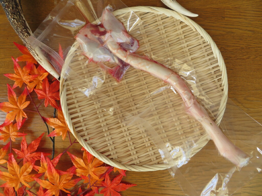楽天市場 北海道産 超希少 鹿の陰茎 睾丸 鹿鞭 １本物 新物 国産 1本 エゾ鹿肉専門店北のグルメ