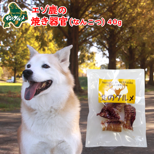 楽天市場 犬 おやつ 国産 北海道産 エゾ鹿 の 焼き器官 なんこつ 40g 高たんぱく質 低脂肪 低カロリー えぞ鹿肉 エゾシカ肉 シカ肉 ジビエ ドックフード 犬用おやつ 犬のおやつ 犬のオヤツ いぬのおやつ 高齢犬 国産 ペット用品 エゾ鹿肉専門店北のグルメ