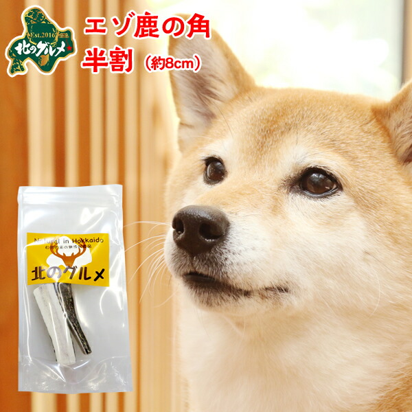 楽天市場】鹿 角 犬 北海道産 エゾ鹿 の 角ガム デンタルケア 1本物 